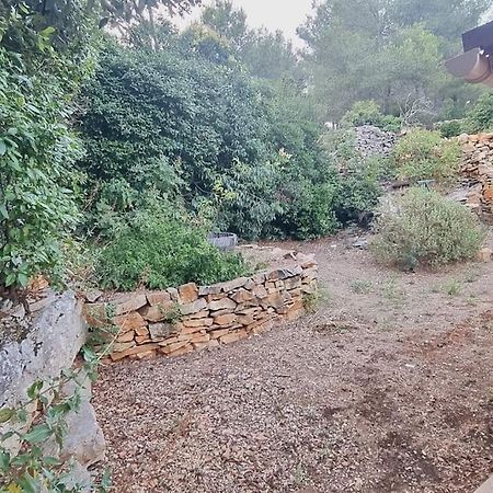 Maisonnette Chez L'Habitant La Ciotat Bagian luar foto