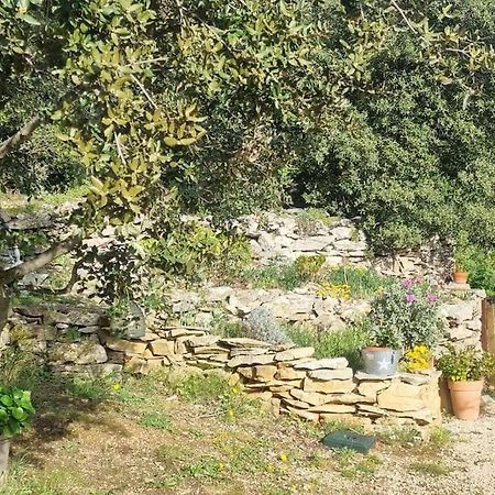 Maisonnette Chez L'Habitant La Ciotat Bagian luar foto