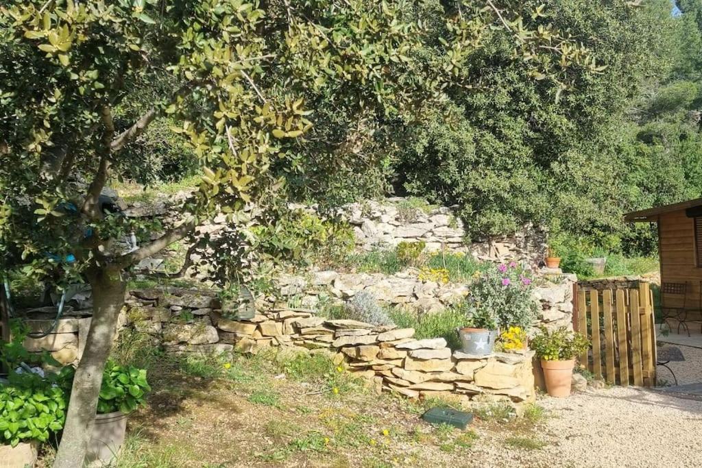 Maisonnette Chez L'Habitant La Ciotat Bagian luar foto